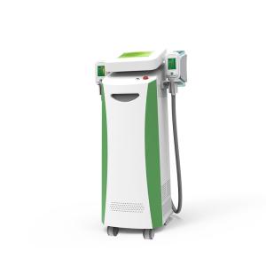 China Professional CE FDA approved 3 years warranty 8 inch touch color screen Cryolipolysis Fat freeze Slimming factory