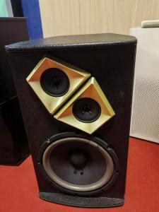 China 10 Inch Professional Audio Speaker Subwoofer with 350W Power Amplifier factory