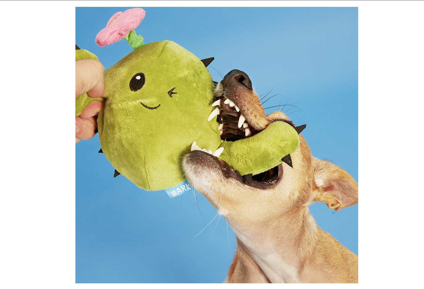 Pet Dog Cat Bite Molar Dog Bite Toy Tear Resistant Cactus
