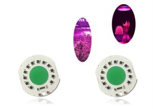 China Grow Tent Indoor 100W Full Spectrum COB Led Grow Light Chip 380-780nm factory