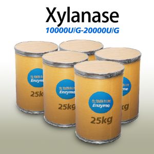 China Food Baking And Processing Xylanase Enzyme Activity Can Be Customized factory