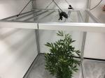 Horticulture 680W Samsung LM301B Plant Grow Lights