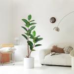 Artificial Potted Floor Plants Small Ficus Pandurata For Garden Decoration