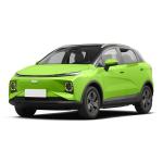 2023 Energy Car Electric Charging Geely Geometry E Electric Car with 100%
