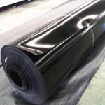Modern Design Prefabricated HDPE Smooth Geomembranes Fish Pond Liner 0.5mm 1mm