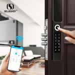 Automatic Double Sided Aluminum Art Door Waterproof Smart Locks