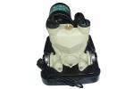 Automatic Electronic Water Pump For 58 L / Min Max Flow Farming Irrigation
