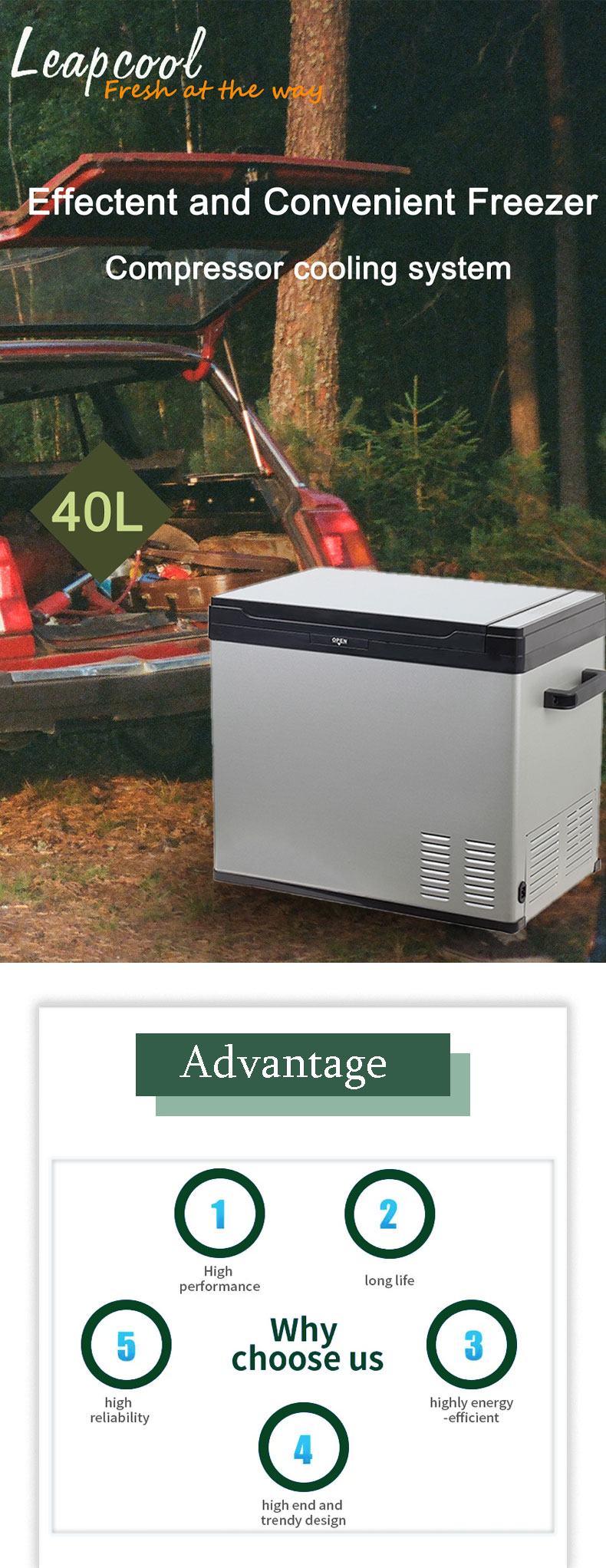 DC12V 40L Mini Car Fridges Freezer Fishing Outdoor Camping Compressor Refrigerator