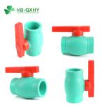 CPVC PVC Ball Valve Plastic Union Ball Valve 2 Inch Ball Valve with Manual