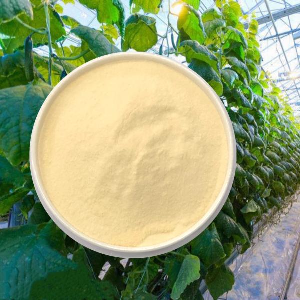 Plant Origin Hydrolysate Protein Based Amino Acid Powder Fertilizer 70% 65072-01