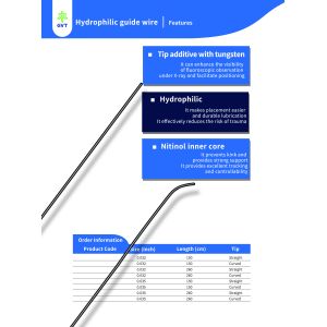China High Accuracy Hydrophilic Guidewire Hydrophilic Intervention Wire Dual Tip Radiopaque on sale