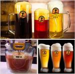 Commercial Brewing Brewery Fermenter 1000Lts Beer Fermentation Vessel