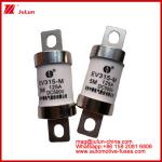 EV315-M 5M 125A HS 500VDC Truck Heavy Tubular fuse electric light bolt