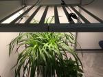 Horticulture 680W 2.7umol/J Grow Light Bar
