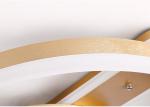 58W Acrylic Ring Light