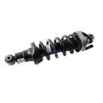 Audi R8 Rear Left ADS Air Suspension Shock Absorber Auto Damper 420512019AL Air