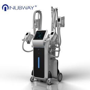 China Best treatment result cryolipolysis 4 handles ice beauty fat removal machine 2018 factory
