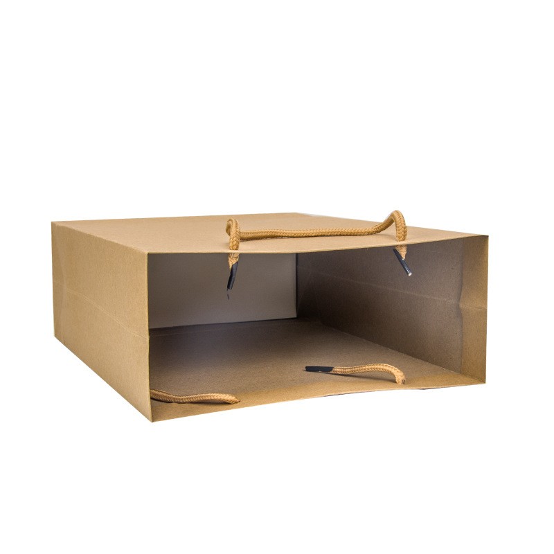 Brown Biodegradable Bulk Craft Paper Bags , Durable Paper Shopping Bags With Handles