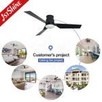 Electric Ceiling Fan with 3 Plastic Blades and 4000K Color Temperature 10-Year