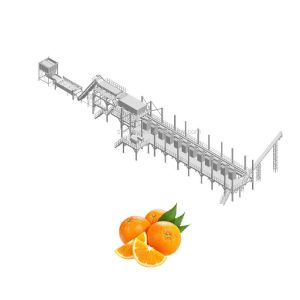 10TPH Automatic Orange Juice Extract Orange Processing Line For Juice Making