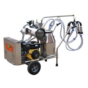 China Mechanical 25Ltr Cow Milking Equipment Gasoline Engine Portable Milker Vacuum Pump factory