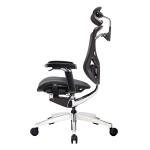 GT IVINO Greenguard Ergonomic Chair Adjustable Swivel Mesh Office Chairs