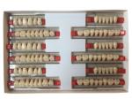 Acrylic Resin Denture Teeth Set Repair Surfaces 2 Layers Super Hard Synthetic