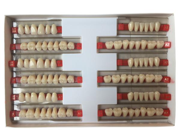 Acrylic Resin Denture Teeth Set Repair Surfaces 2 Layers Super Hard Synthetic