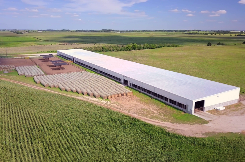 Heavy Steel Structure Poultry Farm Chicken House with Window and Aluminum Alloy Window