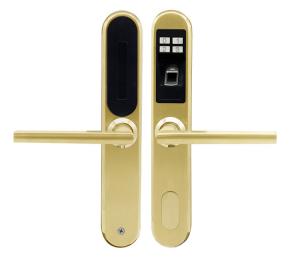 China Fingerprint Smart Apartment Door Locks C Class Lock Core Big Data Capacity Durable factory