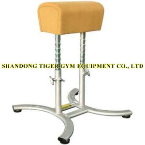 China Gymnastics Equipment Gymnastics New Type Vaulting Buck factory