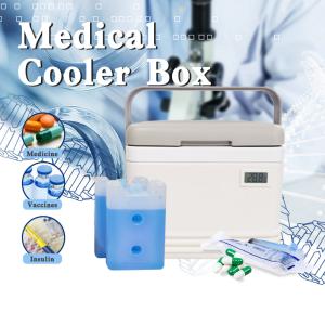 China Temperature Display Medical Cooler Box for Cold Chain Storage and Transportation factory