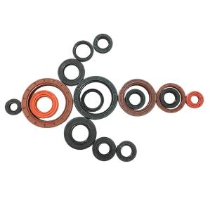 China Flexible Oil Seal Ring Ware Resistant and Customized for Industrial Solutions factory