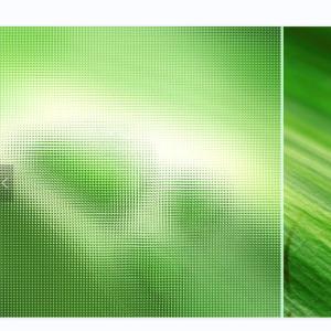 China P7 Mistlite Obscure Privacy Glass Tempered Figured For Shower room Door factory