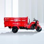 DAYANG Mining Transport Heavy Loading Truck Tricycle 250CC/300CC 2.5m Motorcycle