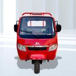 Design DAYANG 2022 Closed Body Type 1000W Trike Tuk Tuk Lifan Motorcycletuk