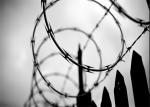 Concertina Coils CBT -65 Galvanized Single Razor Wire Fence Barbed Razor Wire