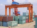40.5 Ton Container Gantry Crane 30m Span Double Girder Rail Mounted