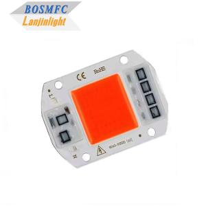 China Practical Full Spectrum COB LED Chip 50W 100W For Indoor Plant Grow Lamp factory