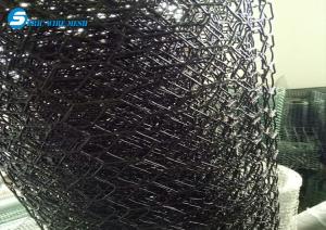 China unique high standard plant protect hexagonal wire mesh factory