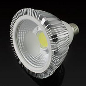 China 15W/18W PAR30/38 COB LED par30 light factory