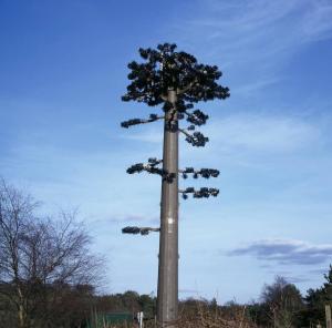 China ANSI Bionic Tree Single Tube Camouflage Cell Tower factory