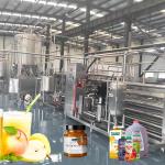 SUS 304 Apple Juice Pulp Processing Production Line Apple Puree Processing