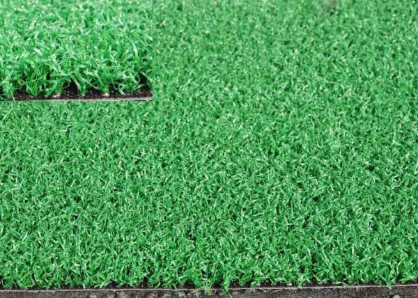 200 Stitches/M PE Material Golf Artificial Lawn For Different Sports Pets Fields