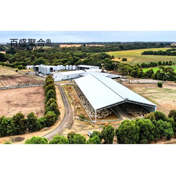 Metal Building Steel Structure Customized For Cattle Cow Shed / Sheep Shed /