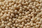 Bookbinding EVA Hot Melt Adhesive Ethylene Vinyl Acetate Granules