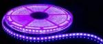 Newest 10m 15m 20m per reel 5050 RGB LED Strip No Volt Drop 24V 60LEDs/m