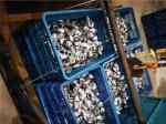 Long Run Deep Drawn Parts Automotive Stamping Parts Plating Finish Custom Size
