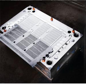 China 0.01-0.1mm Precision Two Shot Injection Molding Acrylic Mould Processing factory