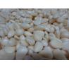Buy cheap 2015 New Product IQF frozen garlic cloves from wholesalers